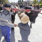 El ‘mayo’ es una de las cargas que portan las tres carretas con las que viajan, en las que llevan también cubas de brea, vigas y lana entre otras cosas.-S. O.