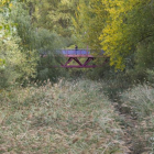 Tramo del río Vena junto al centro de salud José Luis Santamaría donde la vegetación no permite ver el cauce.-ISRAEL L. MURILLO
