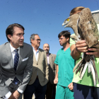 Juan Carlos Suárez-Quiñones observa un ejemplar de águila culebrera.-ISRAEL L. MURILLO
