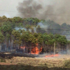 Imagen del incendio que llegó a la zona de pinar.-ECB