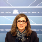 La portavoz socialista de Fomento y Medio Ambiente del Grupo Socialista en las Cortes, Ana Muñoz-Ical