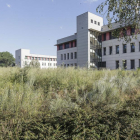 Este suelo está ubicado entre la Biblioteca de la UBU y el parque del Parral.-SANTI OTERO