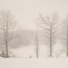 ‘Niebla’, óleo ganador del tercer premio del IX Concurso de Pintura La Rural de la Fundación Caja Rural de Jaén, que recoge hoy.-