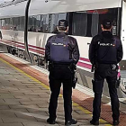 Dos agentes de uniforme vigilan la llegada de un tren a la estación Rosa de Lima.-ECB