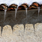 Carámbanos de hielo en una casa de Castro de Cepeda (León)-ICAL