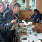 Un momento de las labores de clasificación de los ejemplares hallados durante la salida al campo-G. G.