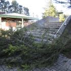 El Gobierno estima en más de 276.000 euros los daños por la borras 'Filomena'. RAÚL G. OCHOA