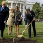 El presidente Donald Trump y su homólogo francés, Emmanuel Macron, plantan un árbol ante la presencia de sus esposas.-/ ANDREW HAMIK (AP)