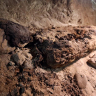 Una de las momias de la cámara funeraria descubierta en Minia, en Egipto.-MOHAMED ABD EL GHANY / REUTERS