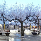 La Plaza Mayor del municipio es el epicentro de todas las actividades culturales y de ocio.-ECB
