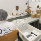 Operarios del Centro Especial de Empleo Cisa en plena faena.-ISRAEL L. MURILLO