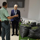 El subdelegado del Gobierno, Roberto Saiz, observa el decomiso.-GUARDIA CIVIL