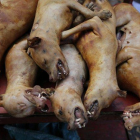 Imagen de archivo de preparativos para el festival de Carne de Perro de Yulin.-EFE