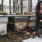 La vicepresidenta de la asociación de apicultores advierte de que la velutina es un peligro para todos-ICAL