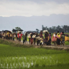 Miembros de la minoría rohingya caminan por un campo de arroz en su huida de Birmania para refugiarse en Bangladés.-AP / BERNAT ARMANGUE