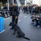 Policías y perros entrenados buscan bombas en la Cámara de Diputados de Buenos Aires, Argentina.-REUTERS