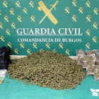 Droga incautada por la Guardia Civil.-ECB