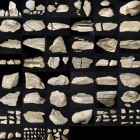 Fragmentos de la escultura antes de su reestructuración.-JCYL