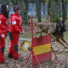 Dos voluntarias del GREM entrenan con dos perros en la sede de la asociación en Villafría.-RAÚL G. OCHOA
