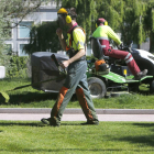 Un operario municipal realiza labores de clareo en un jardín.-RAÚL G. OCHOA
