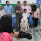 Los más pequeños disfrutaron interactuando con las rapaces en las exhibiciones.-G. G.