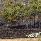 El fuego calcinó superficie de un pinar cercano a la Barriada Yagüe.-SANTI OTERO
