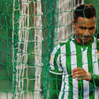 El delantero bético Rubén Castro, durante un partido en el Benito Villamarín.-AFP / JORGE GUERRERO