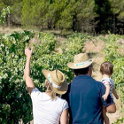 La Ruta del Vino pretende aumentar el turismo enológico. ECB