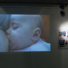 Un proyector muestra una sucesión de instantáneas que reflejan con fidelidad el milagro de la vida.-RAÚL G. OCHOA