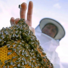 La feria acercará el mundo de la apicultura y la miel este sábado en Espinosa.-E. C.