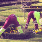 Dos operarios de Parques y Jardines hacen arreglos en un jardín de la ciudad.-ISRAEL L. MURILLO