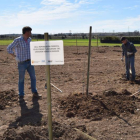 En la actividad se plantaron 121 árboles de especies frondosas.-ECB