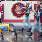 ‘Miura’, la cabra de la legión, ha desfilado en el día de la Hispanidad.-EFE