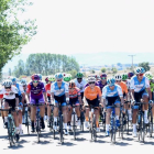 Imagen del pelotón compacto durante una etapa de la Vuelta a Burgos de 2019. SANTI OTERO