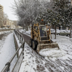 La limpieza de las calles se realizó durante toda la mañana.-SANTI OTERO