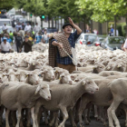 Un ganadero reclama actuaciones en favor de la Cañada Real Burgalesa.-ECB