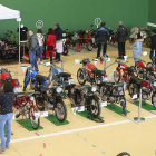 119 motocicletas se expusieron en esta muestra, ubicada en el polideportivo de Villariezo.-RAÚL G. OCHOA