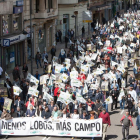 Ganaderos de toda la Comunidad autónoma se concentraron hoy a las puertas de la Delegación Territorial de la Junta de Castilla y León en Zamora, para protestar por los daños provocados por el lobo en las explotaciones y exigir soluciones-ICAL