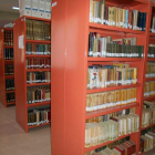 La biblioteca de Aranda cuenta con 100.000 libros.-L. V.