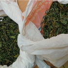 En el registro de la nave se han aprehendido 450
gramos de marihuana localizados en el interior de un frigorífico. ECB