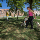Unas personas pasean a sus perros en el parque Buenavista de Gamonal. TOMÁS ALONSO