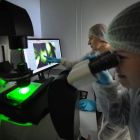 Dos investigadoras trabajan con el microscopio de fluorescencia.-ISRAEL L. MURILLO