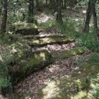 Zona boscosa en los Montes Obarenes. G. GONZÁLEZ
