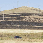 Imagen del zona afectada por el incendio registrado cerca de la barriada Yagüe el 7 de agosto.-SANTI OTERO