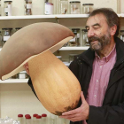 Javier Carlón.-Raúl Ochoa