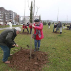 Uno a uno, la asociación ha ido plantando en esta zona verde de Burgos capital cerca de 40 nuevos árboles.-SANTI OTERO
