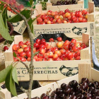 El total de la cereza certificada de la Marca de Garantía se ha vendido en fresco.-G. G.