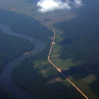 Vista aérea de la selva amazónica, que muestra la deforestación a lo largo de ambos lados de la carretera Trans-Amazónica.-Foto: STRINGER / REUTERS