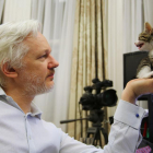 Julian Assange, con su nuevo compañero en la Embajada de Ecuador en Londres.-HANDOUT / REUTERS