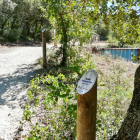 Sendero botánico que recorre el borde de la Trinchera del Ferrocarril de los yacimientos de la sierra de Atapuerca-ICAL